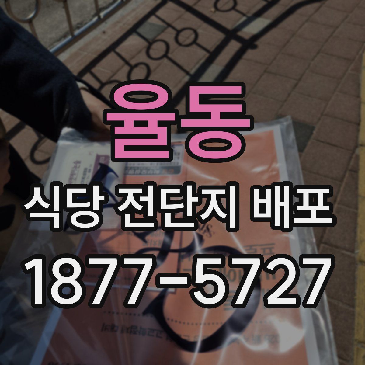 율동 식당 전단지 배포