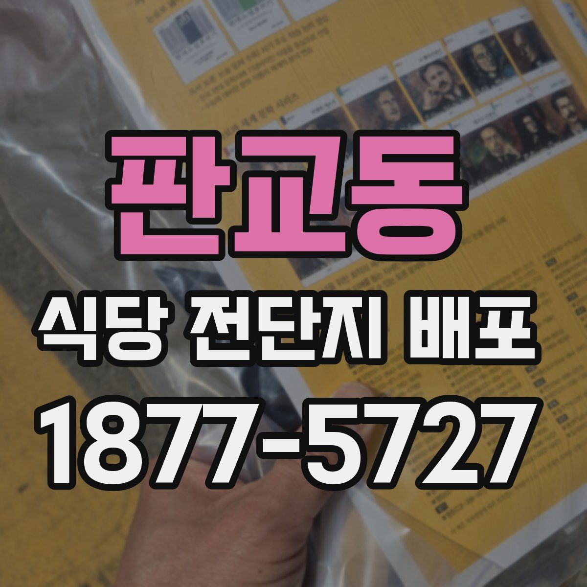 판교동 식당 전단지 배포