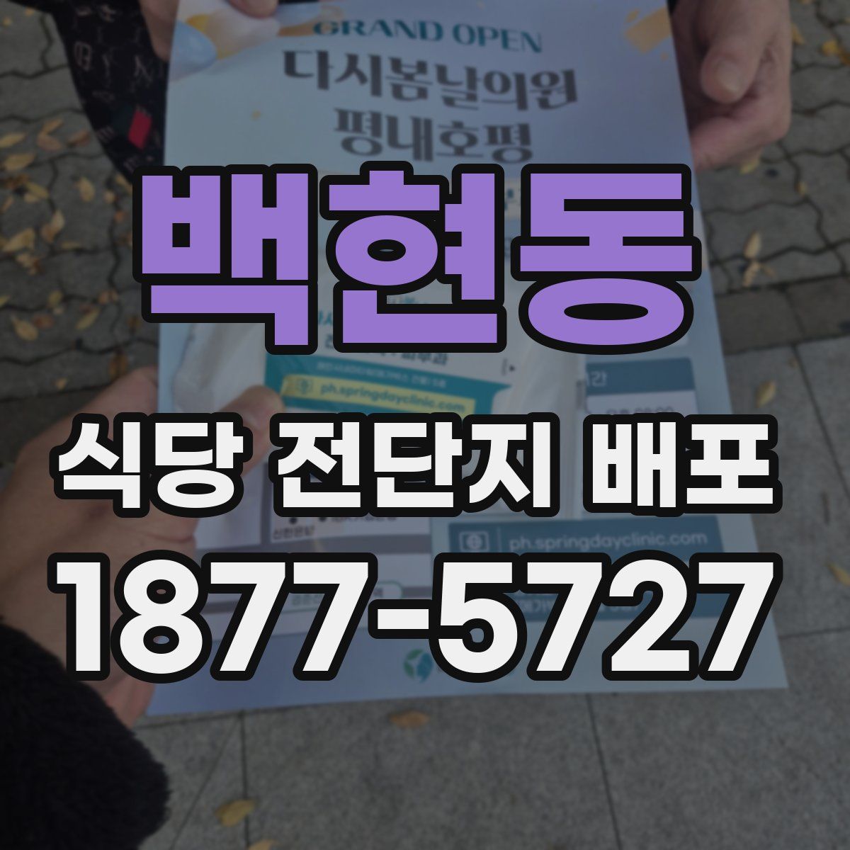 백현동 식당 전단지 배포