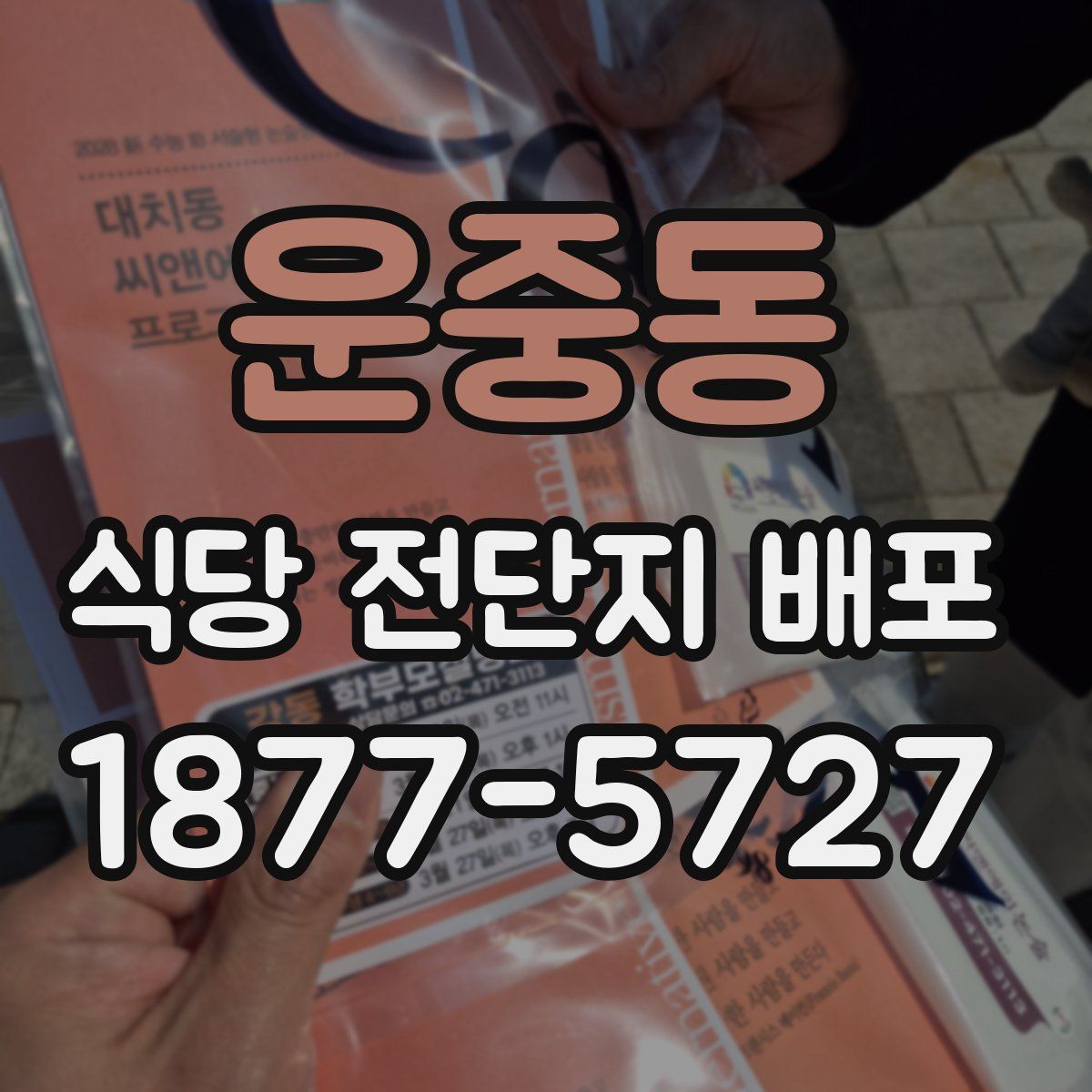 운중동 식당 전단지 배포