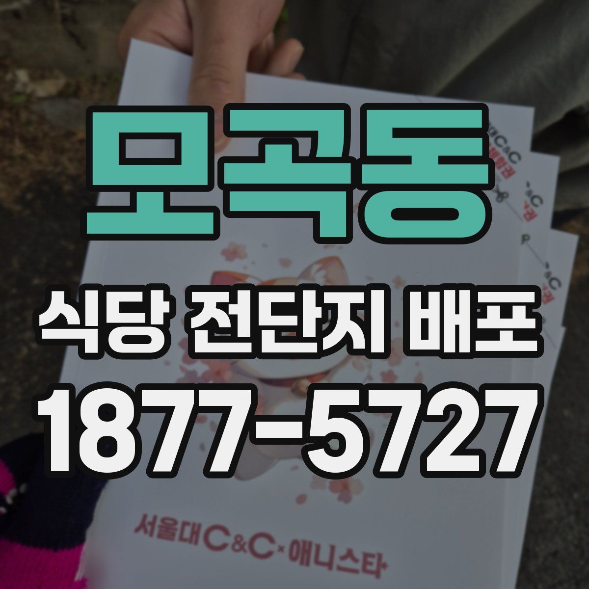 모곡동 식당 전단지 배포