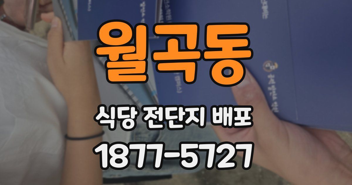 월곡동 식당 전단지 배포