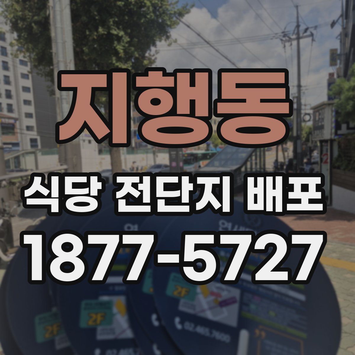 지행동 식당 전단지 배포
