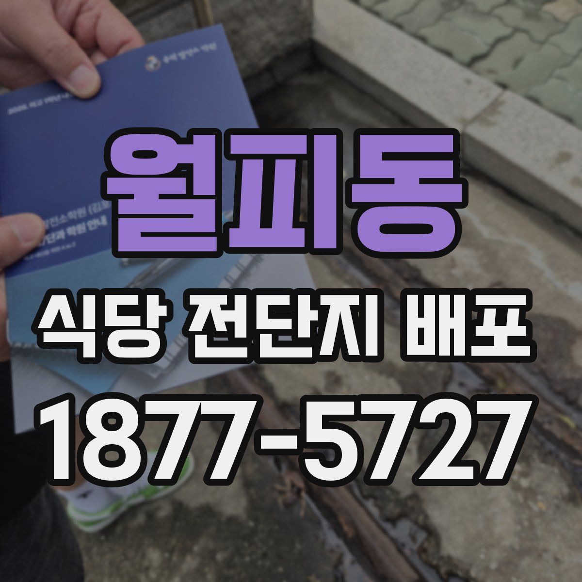 월피동 식당 전단지 배포
