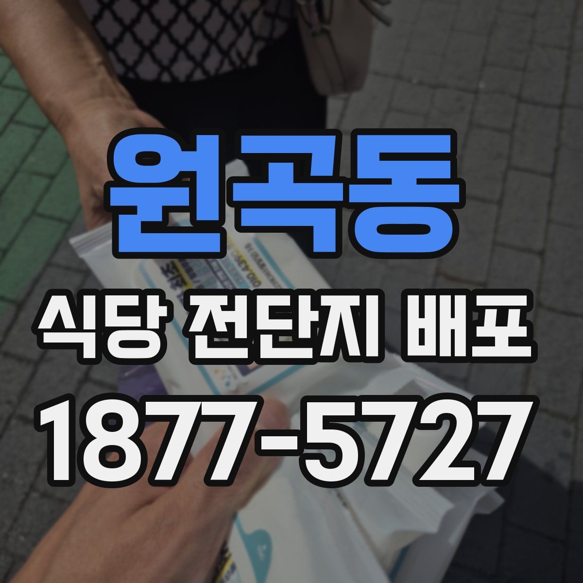 원곡동 식당 전단지 배포