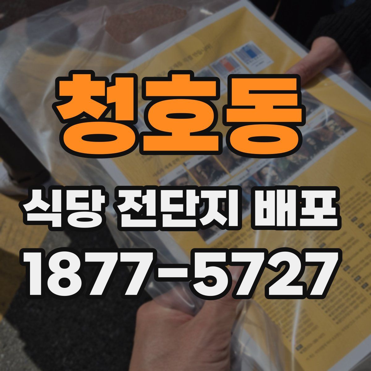 청호동 식당 전단지 배포