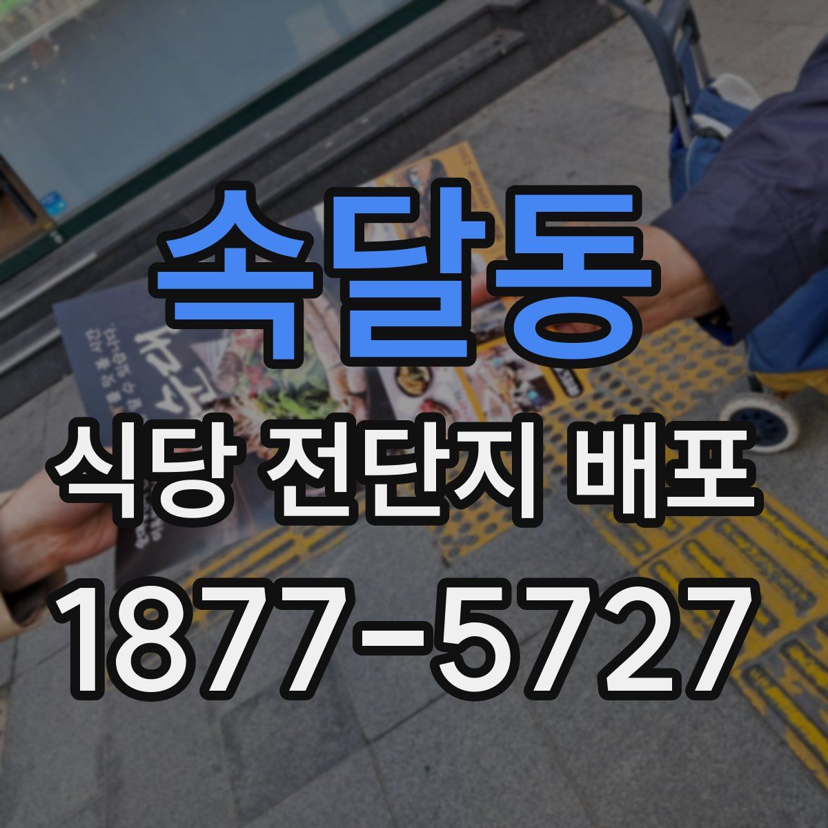 속달동 식당 전단지 배포