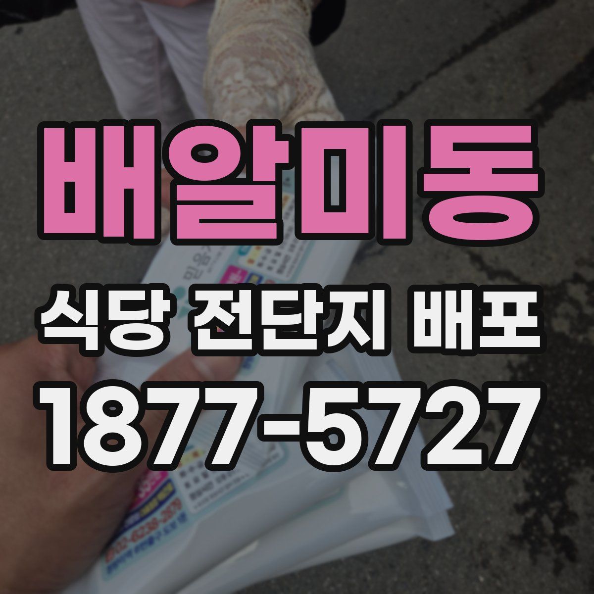 배알미동 식당 전단지 배포