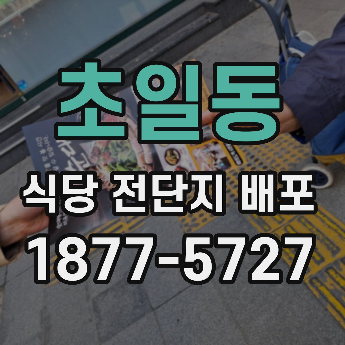 초일동 식당 전단지 배포