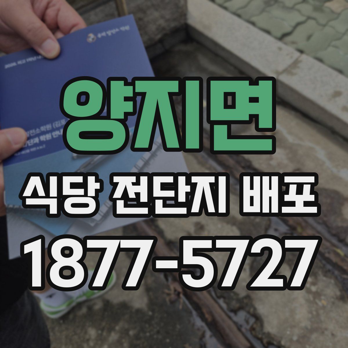 양지면 식당 전단지 배포