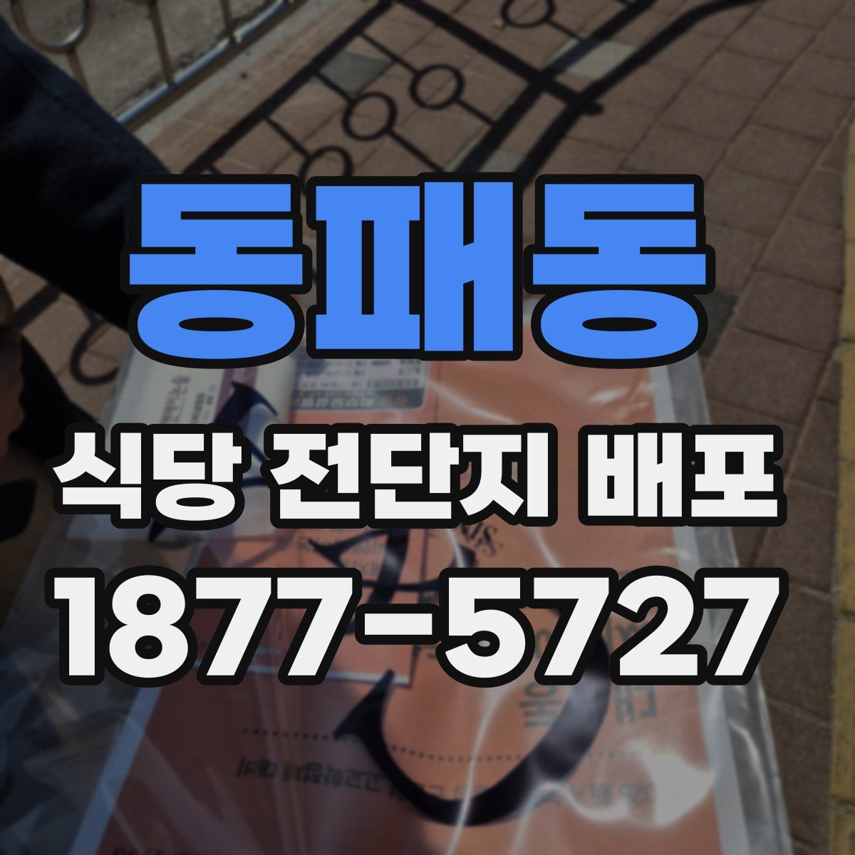 동패동 식당 전단지 배포