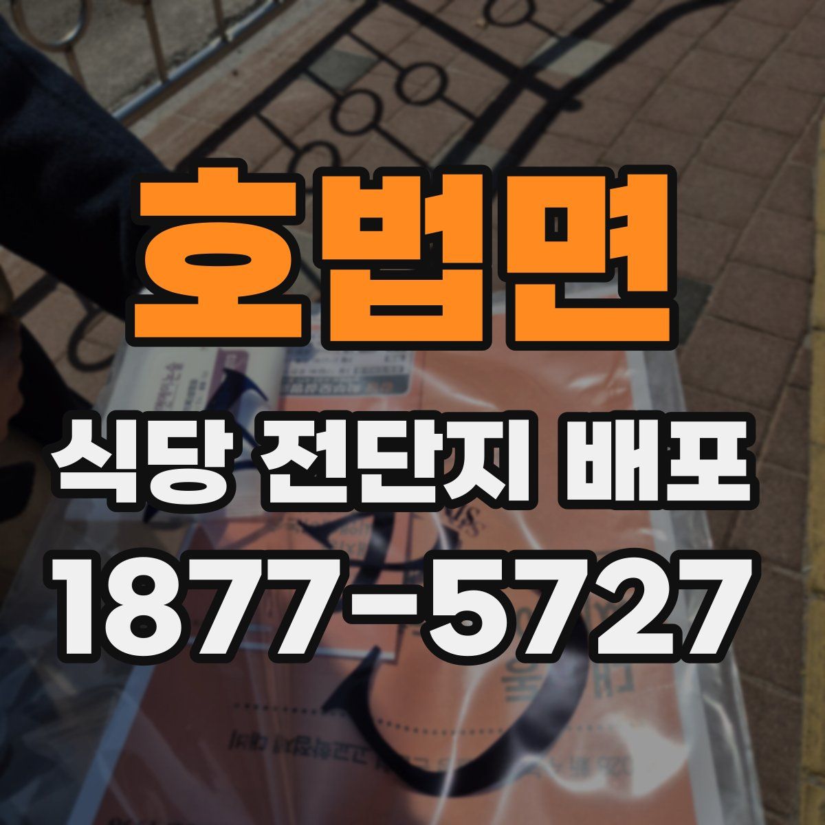 호법면 식당 전단지 배포