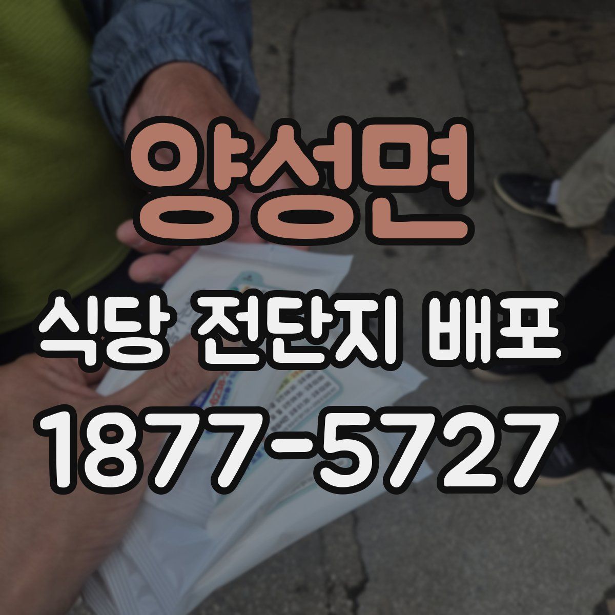 양성면 식당 전단지 배포