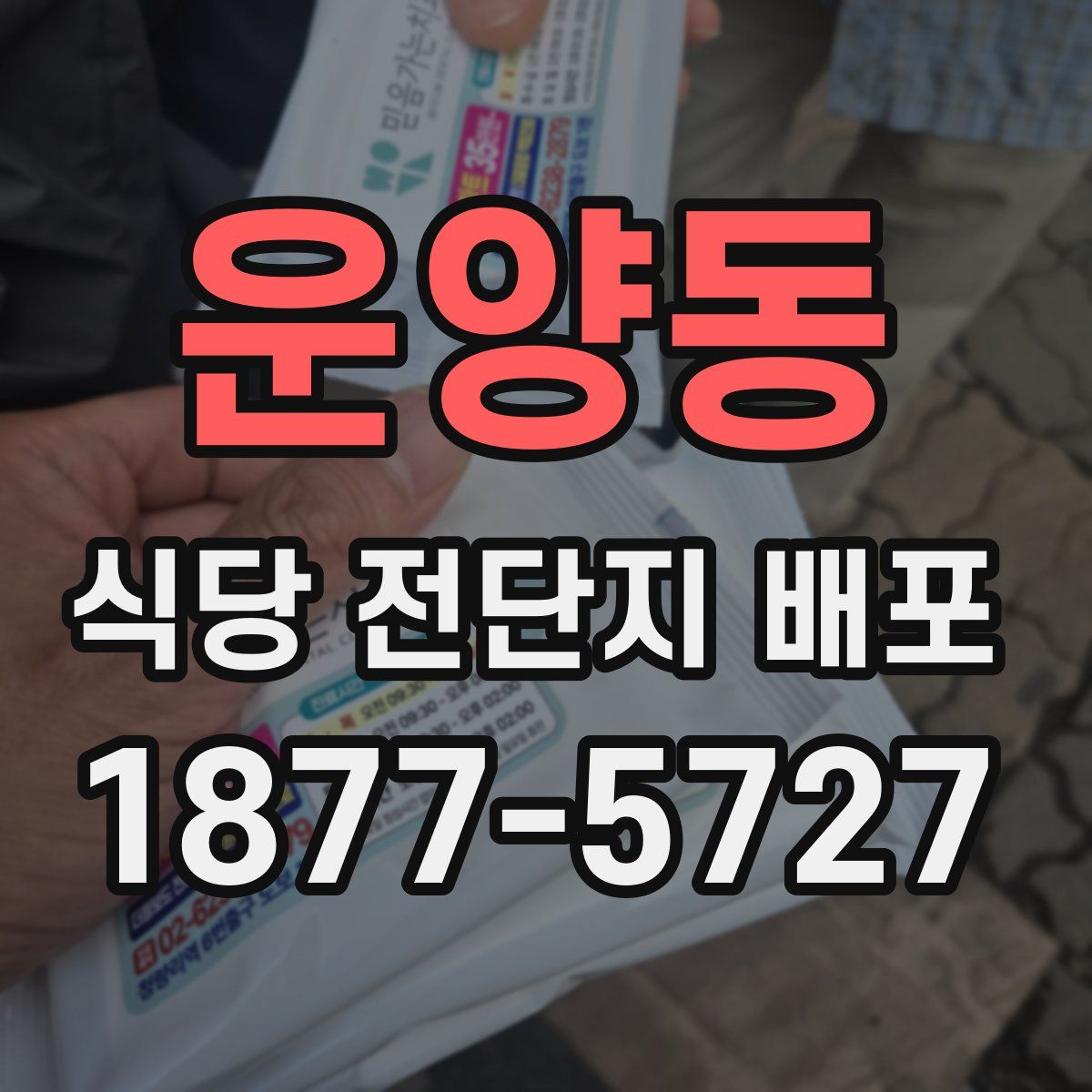 운양동 식당 전단지 배포