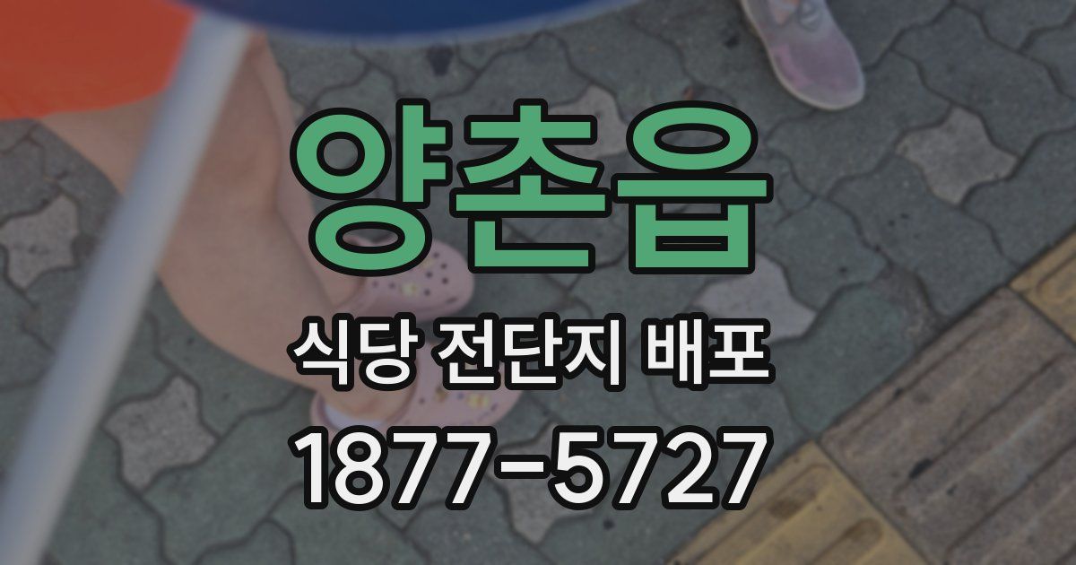 양촌읍 식당 전단지 배포