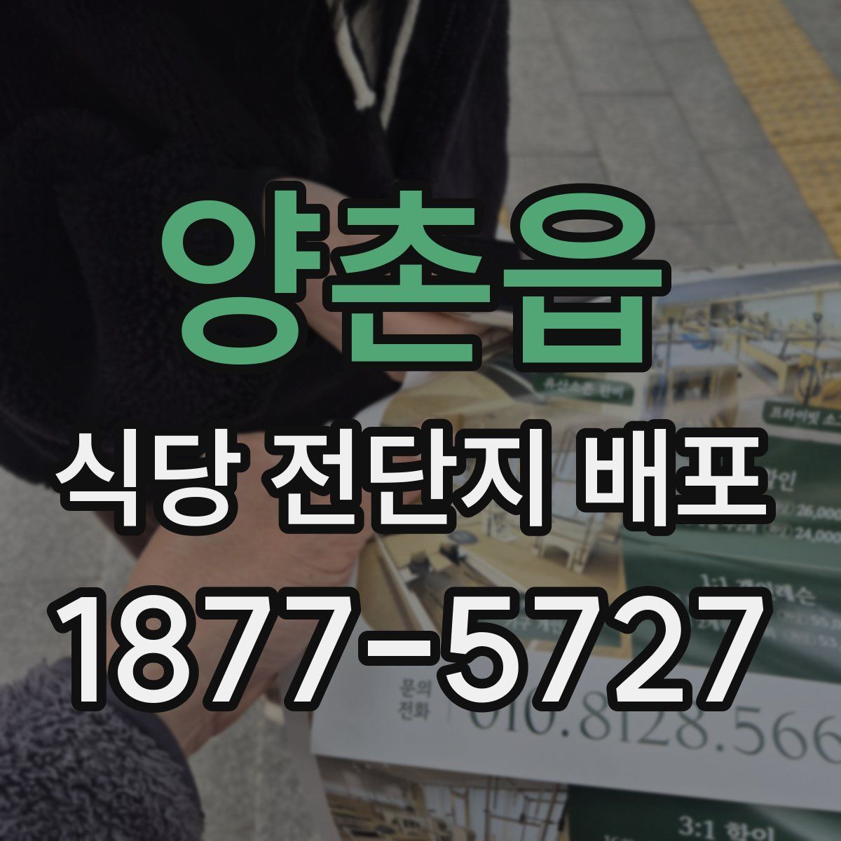 양촌읍 식당 전단지 배포