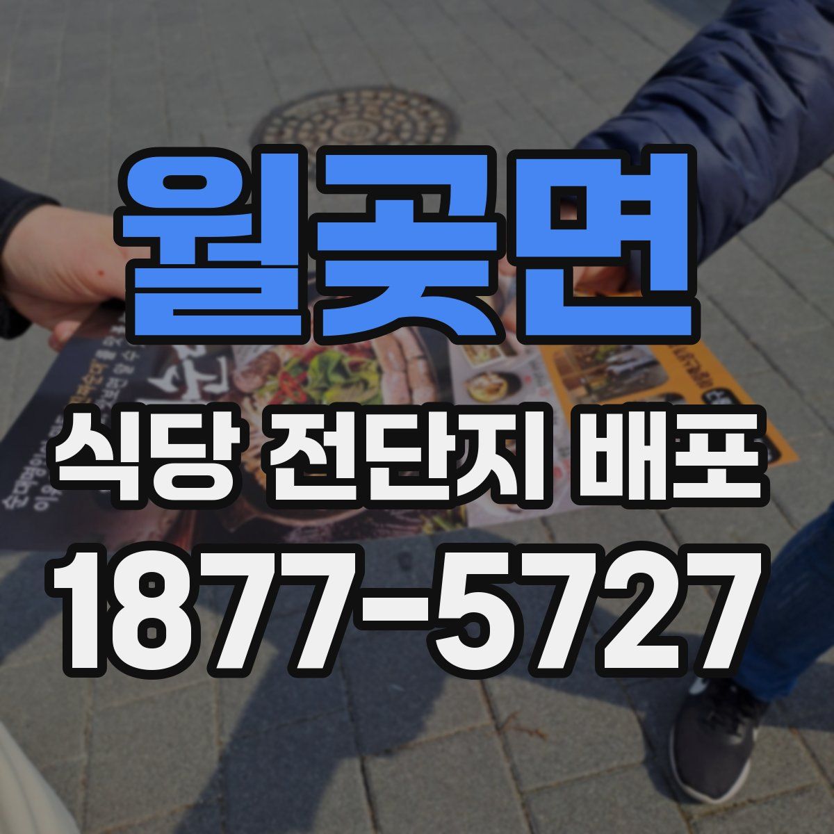 월곶면 식당 전단지 배포