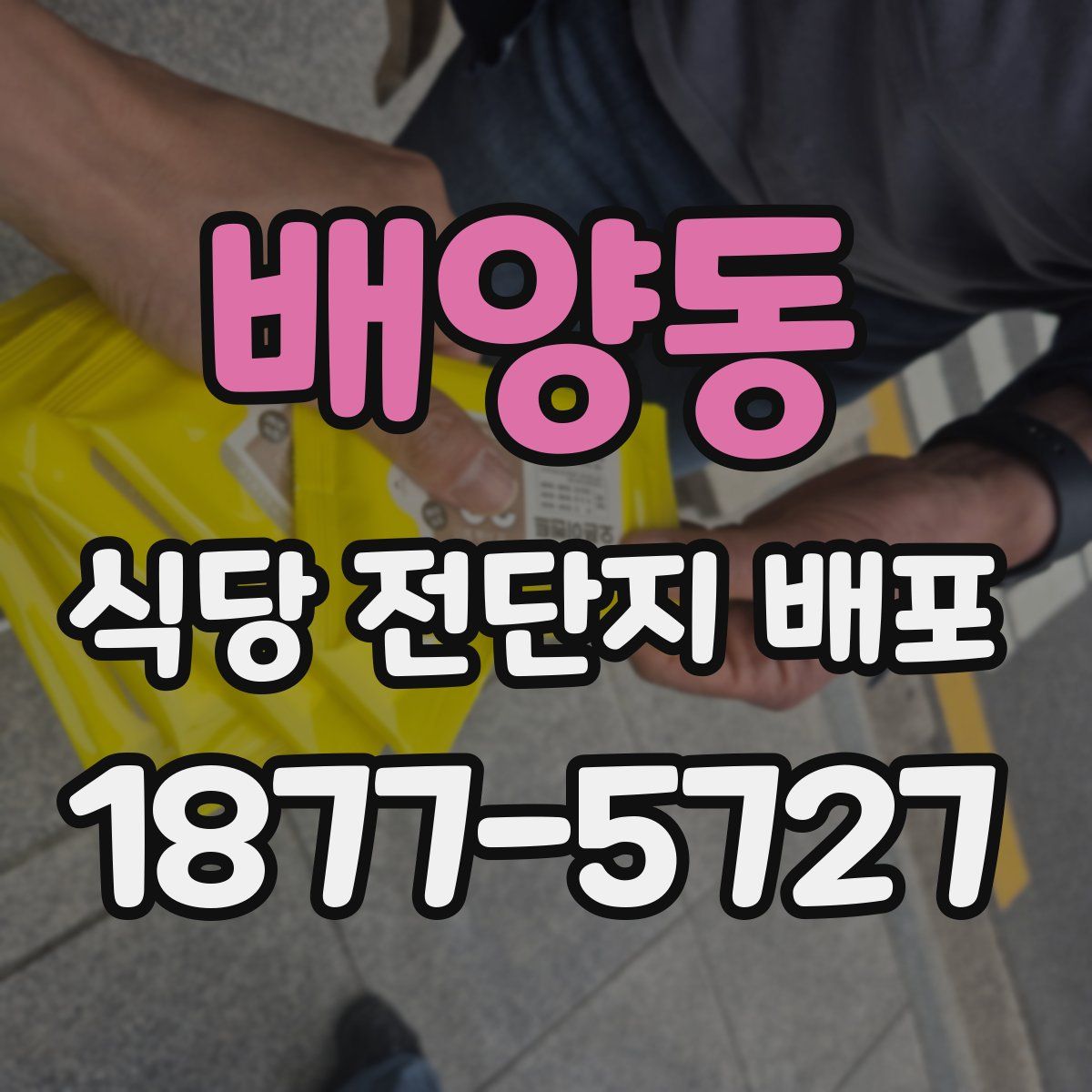 배양동 식당 전단지 배포