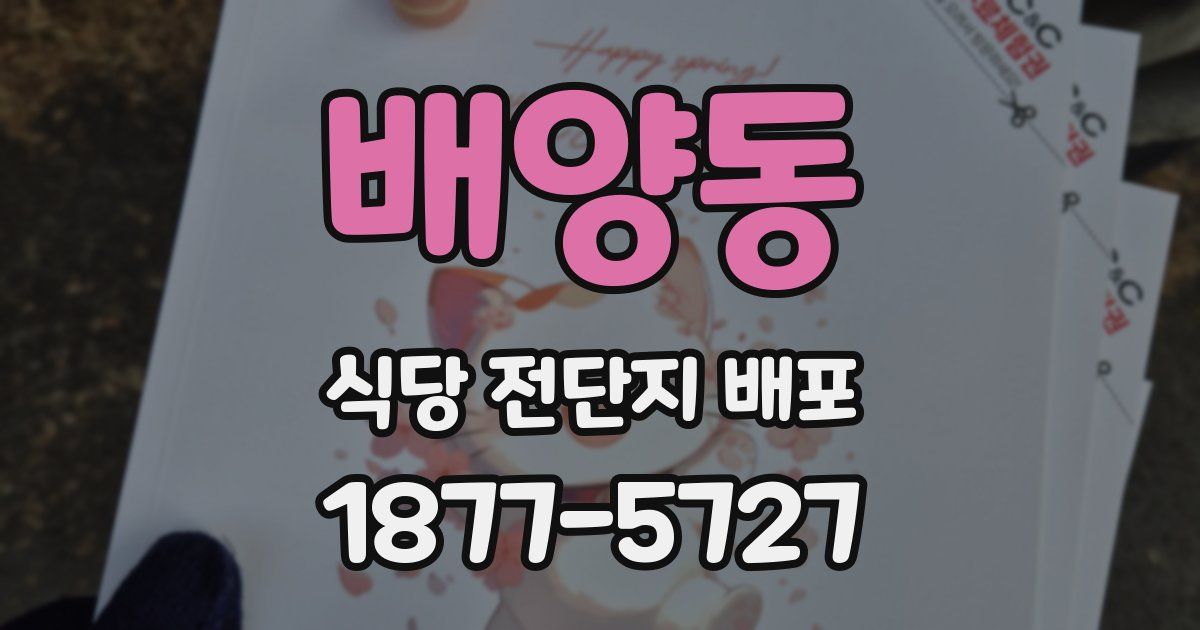 배양동 식당 전단지 배포