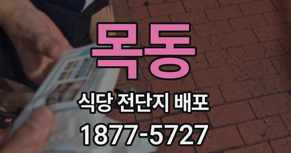 목동 식당 전단지 배포