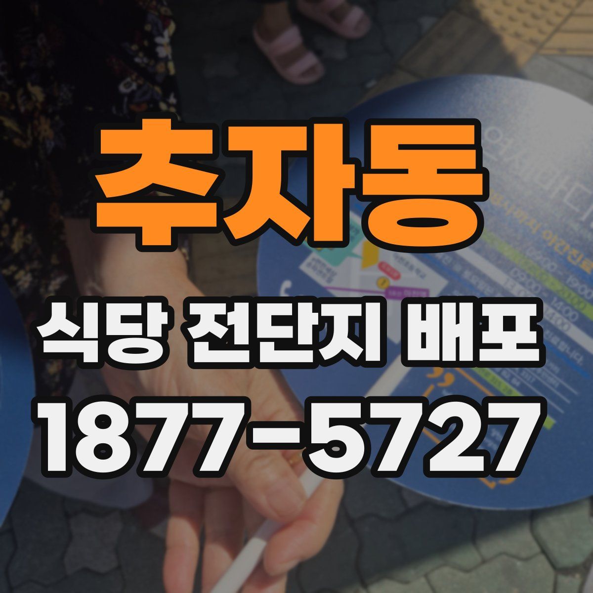추자동 식당 전단지 배포