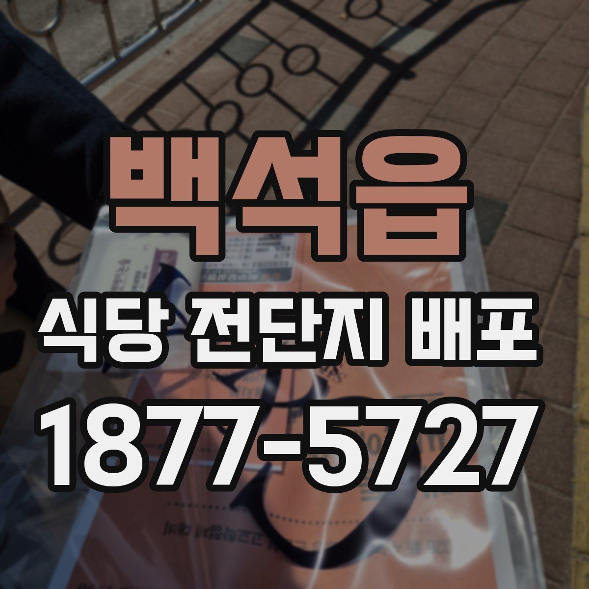 백석읍 식당 전단지 배포
