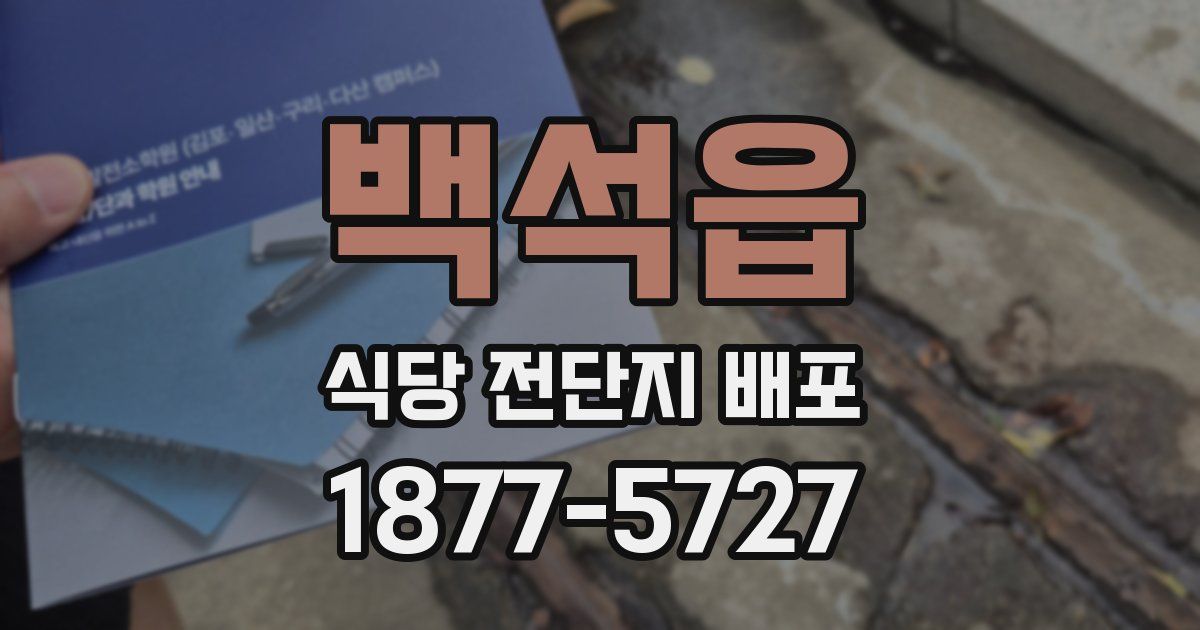 백석읍 식당 전단지 배포