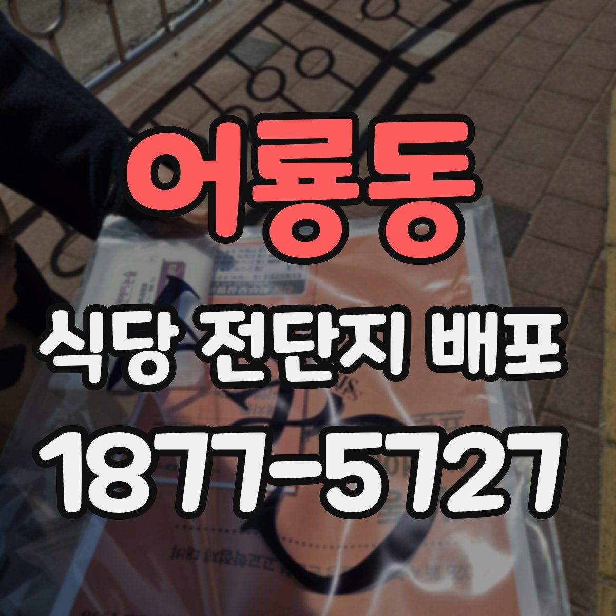 어룡동 식당 전단지 배포
