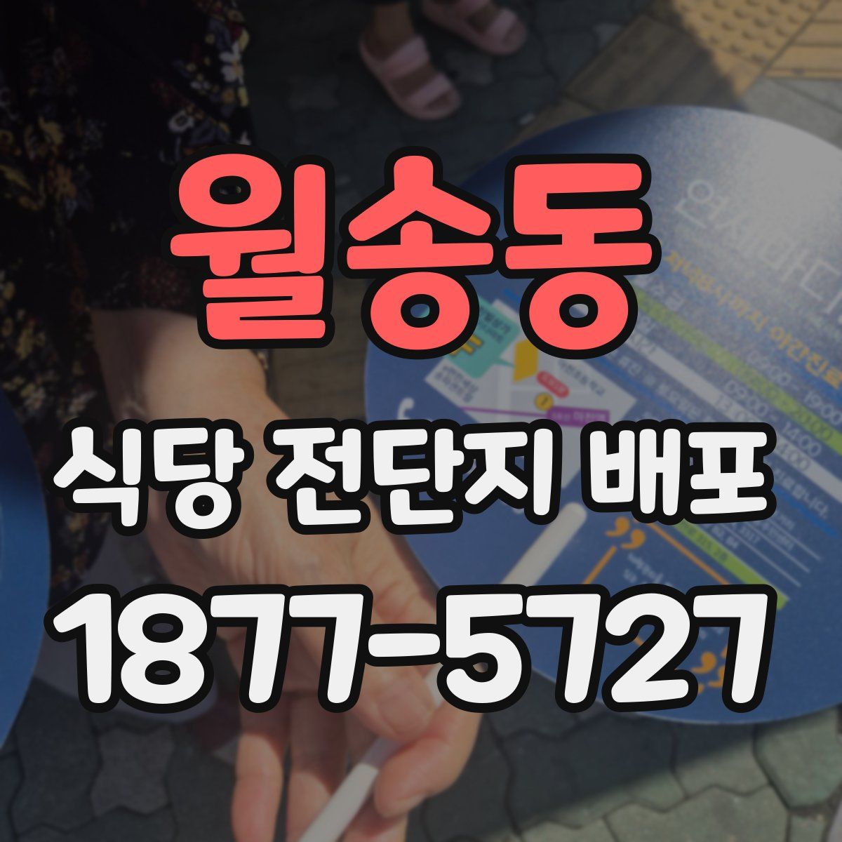 월송동 식당 전단지 배포