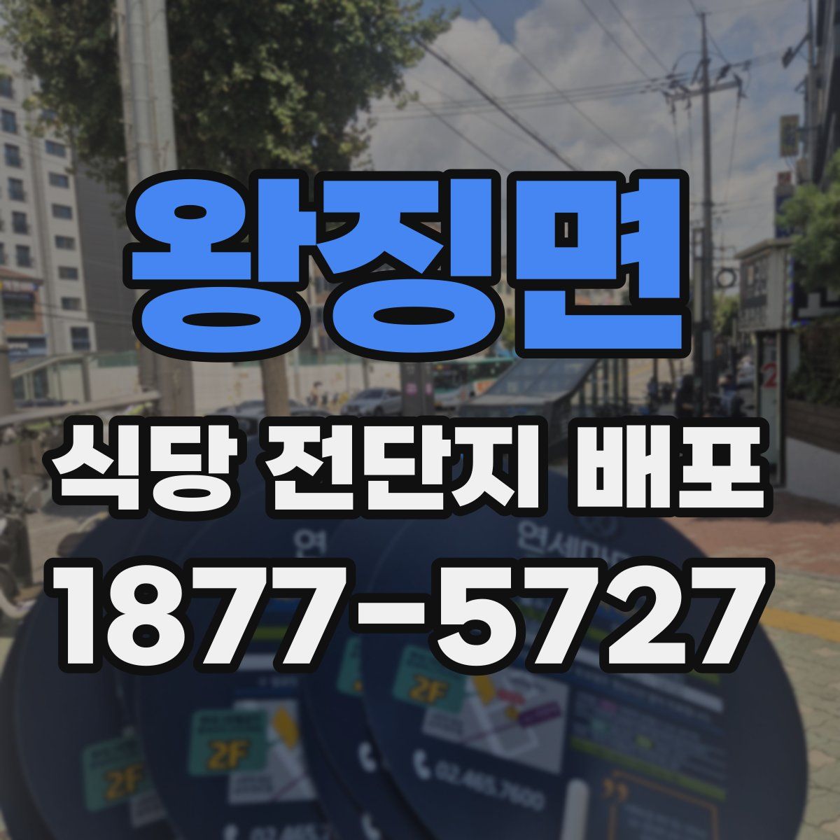왕징면 식당 전단지 배포