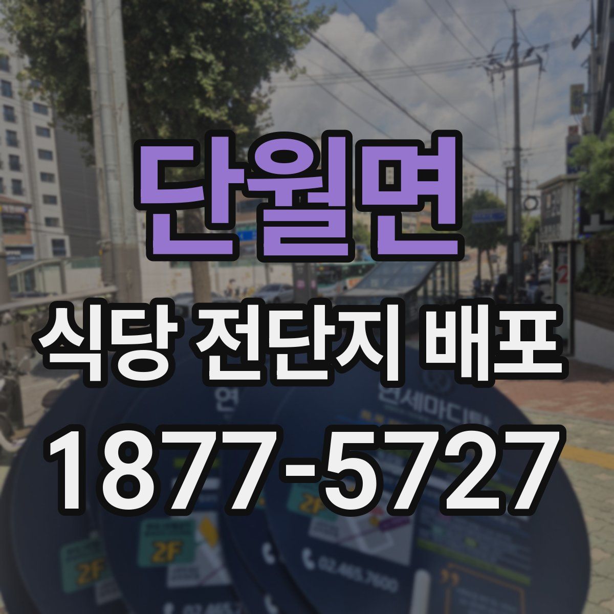 단월면 식당 전단지 배포