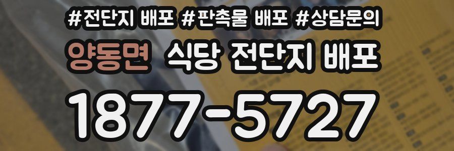 양동면 식당 전단지 배포