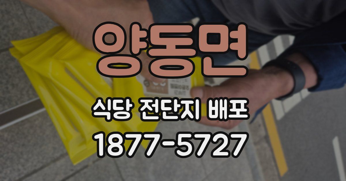 양동면 식당 전단지 배포