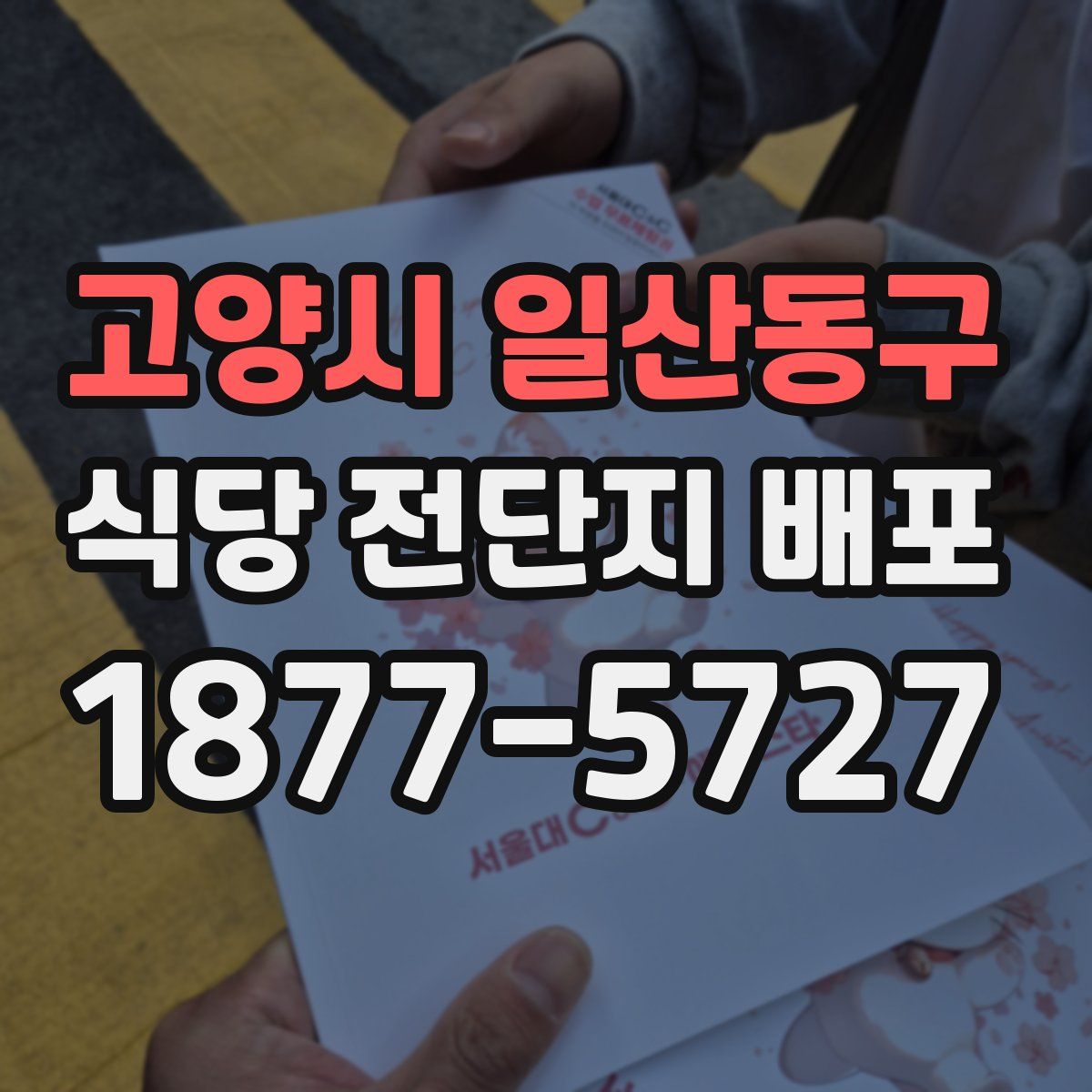 고양시 일산동구 식당 전단지 배포
