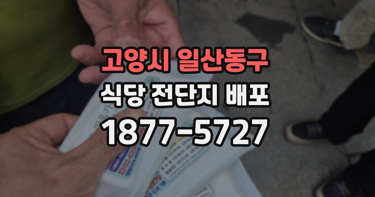 고양시 일산동구 식당 전단지 배포
