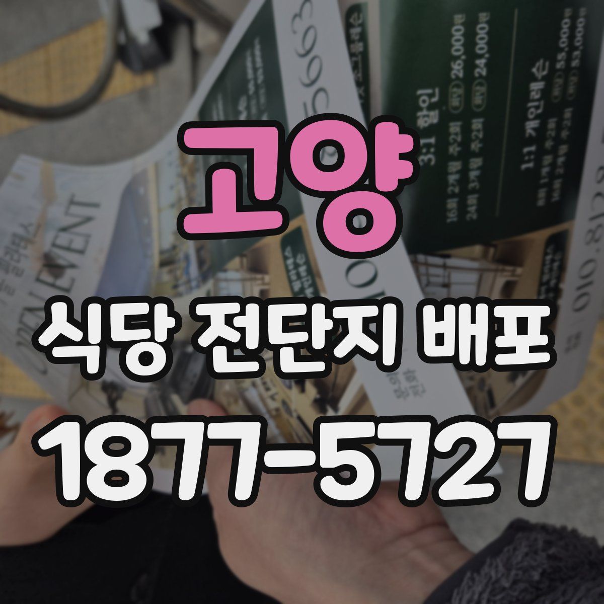 고양 식당 전단지 배포