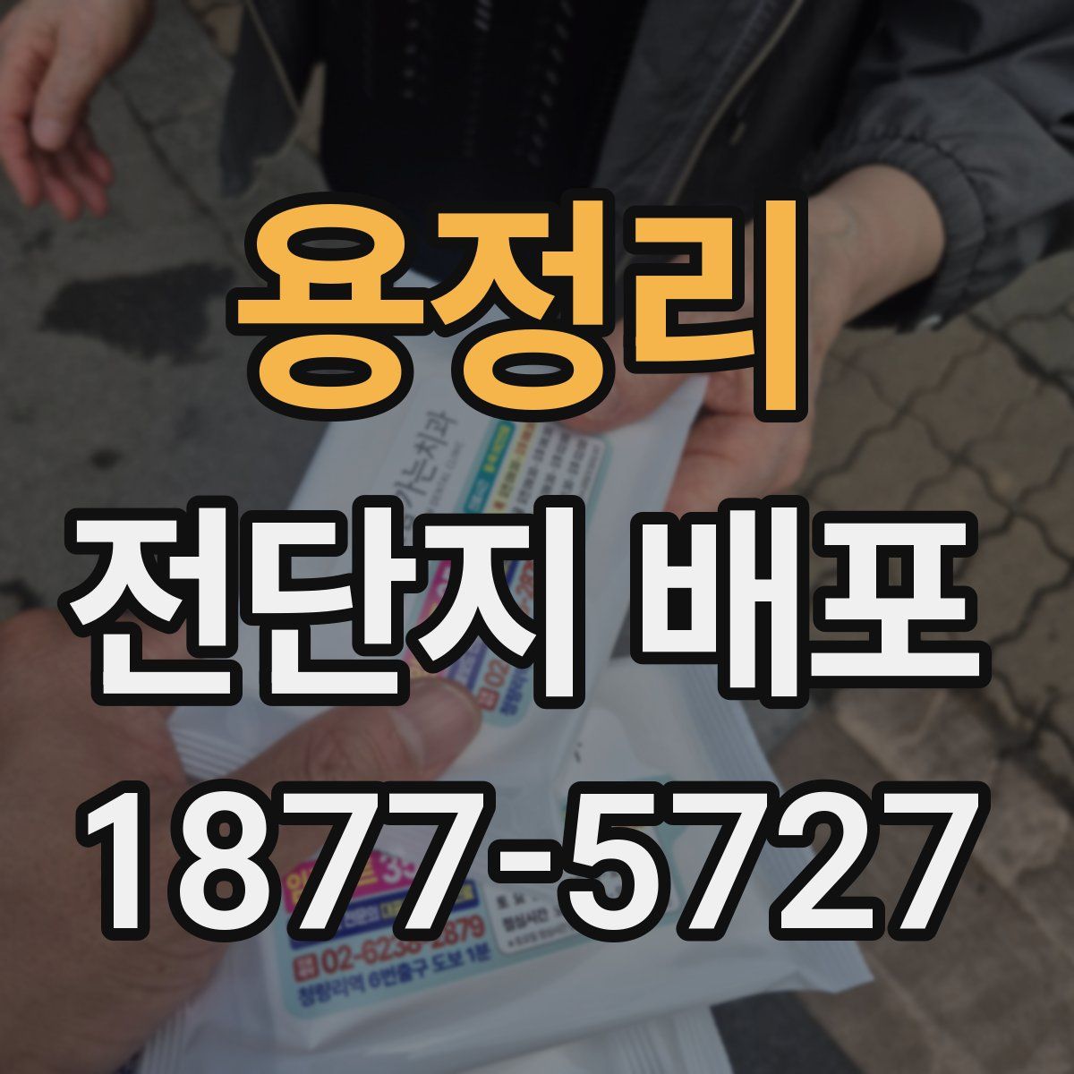 용정리 전단지 배포