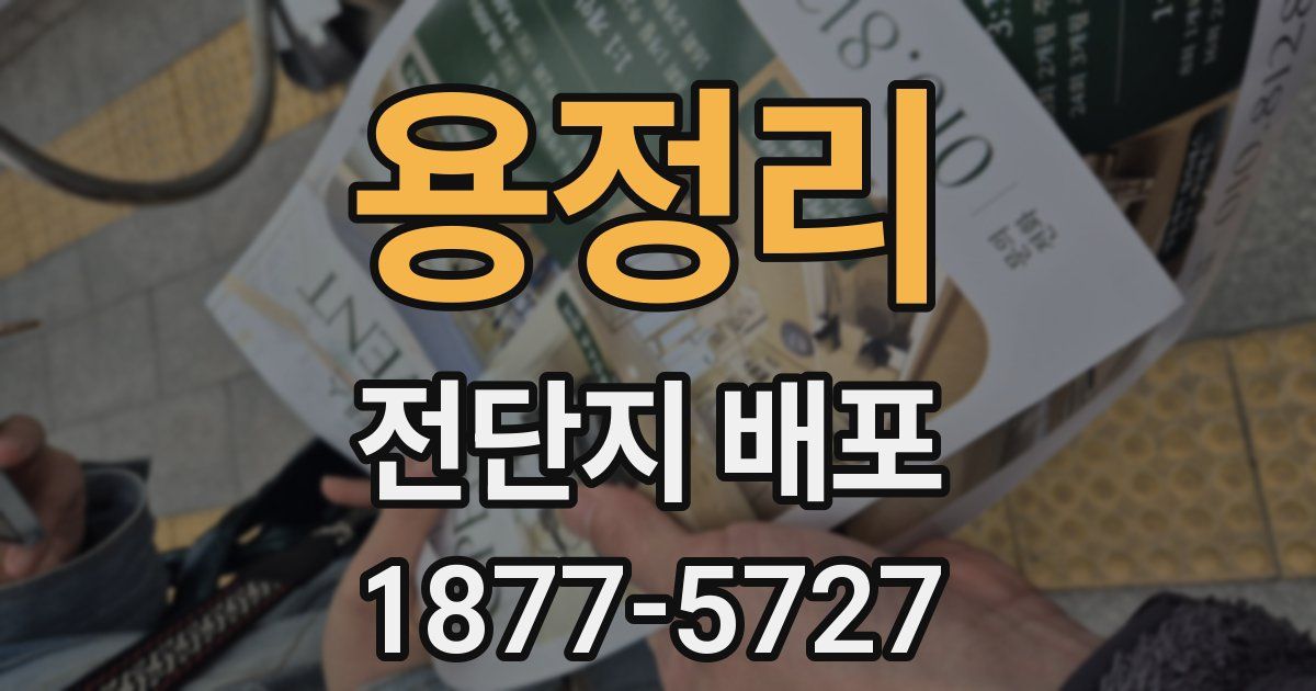 용정리 전단지 배포