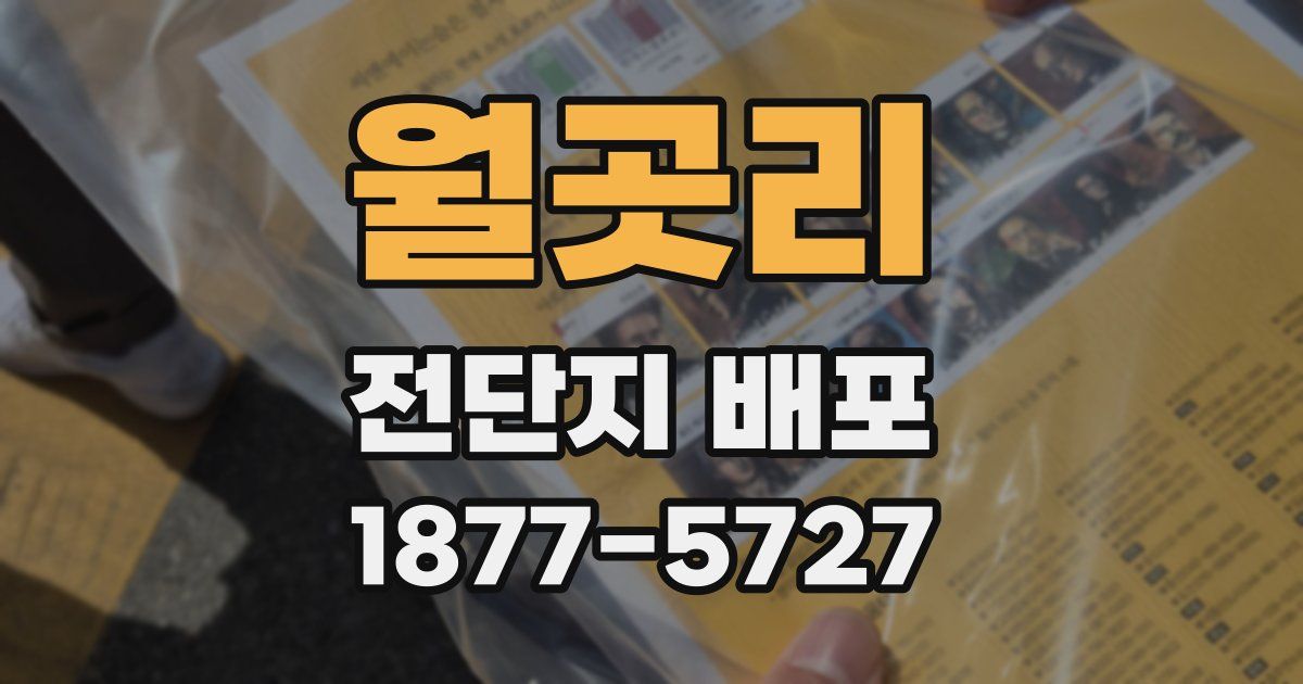 월곳리 전단지 배포
