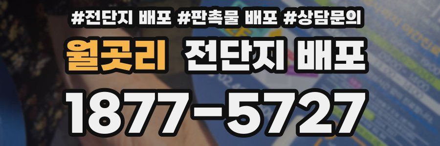 월곳리 전단지 배포