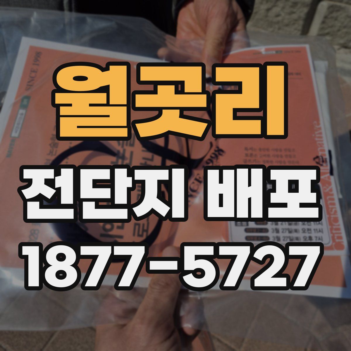 월곳리 전단지 배포