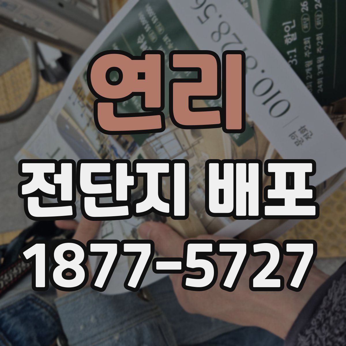 연리 전단지 배포