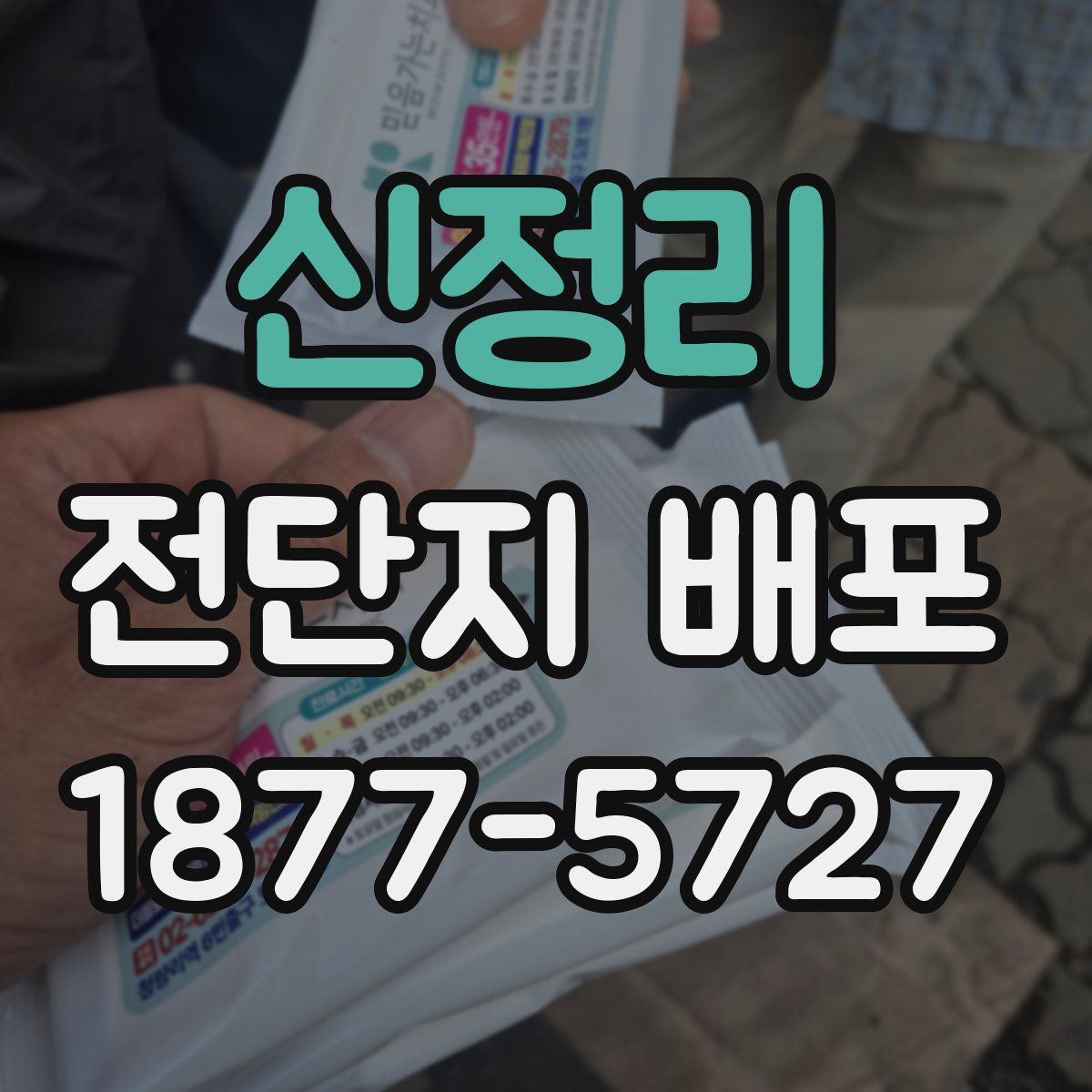 신정리 전단지 배포