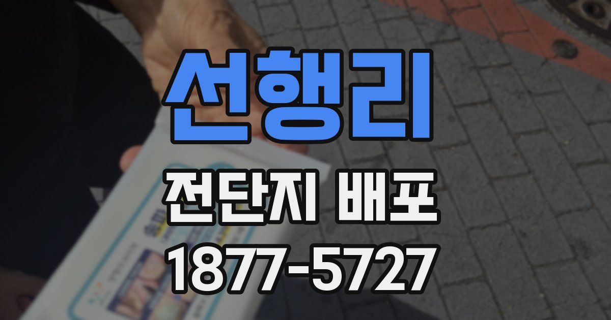 선행리 전단지 배포