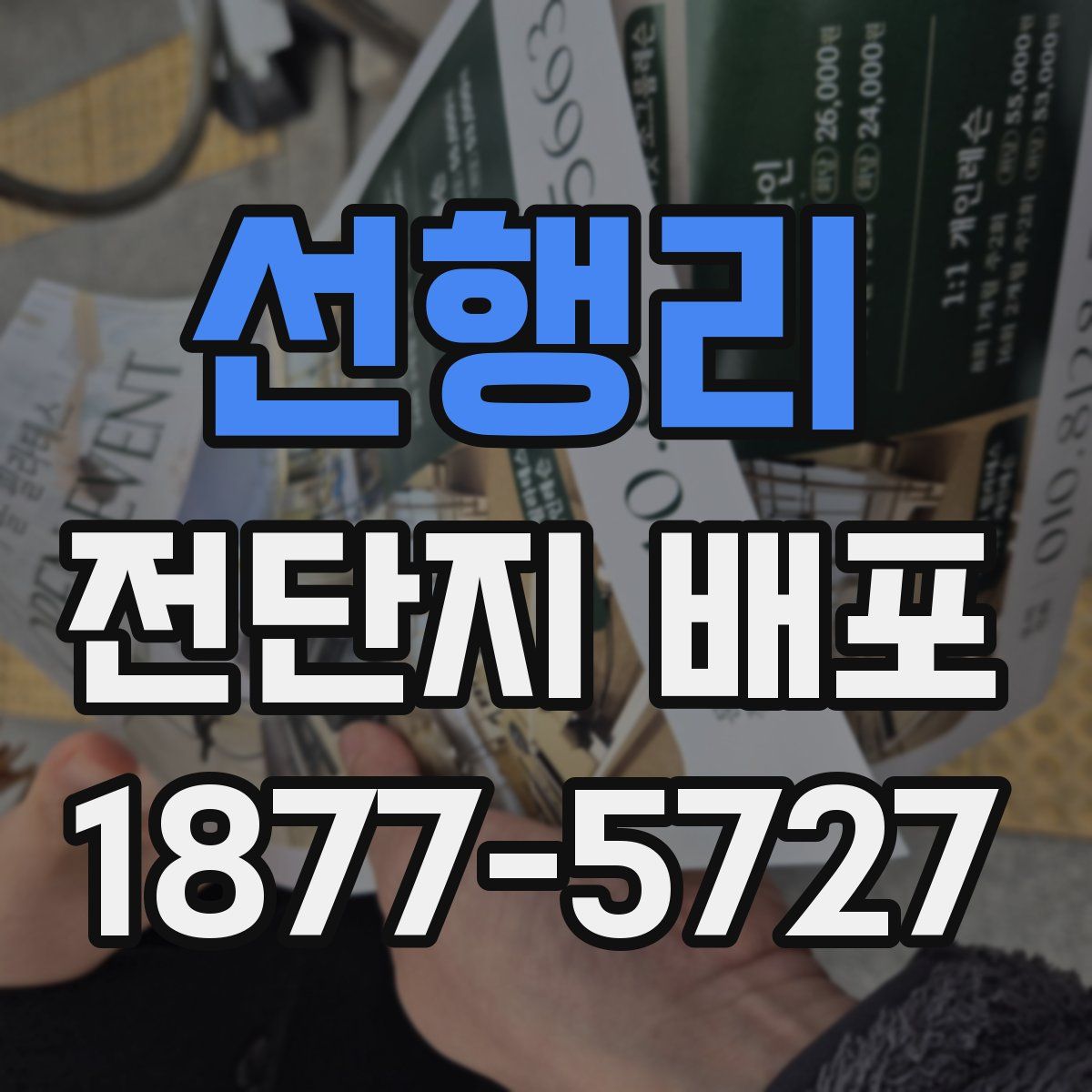 선행리 전단지 배포