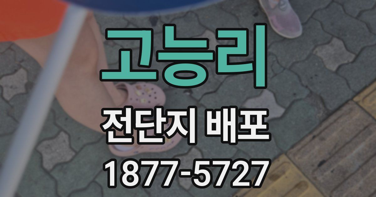 고능리 전단지 배포