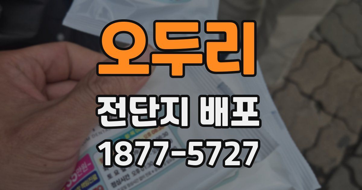 오두리 전단지 배포
