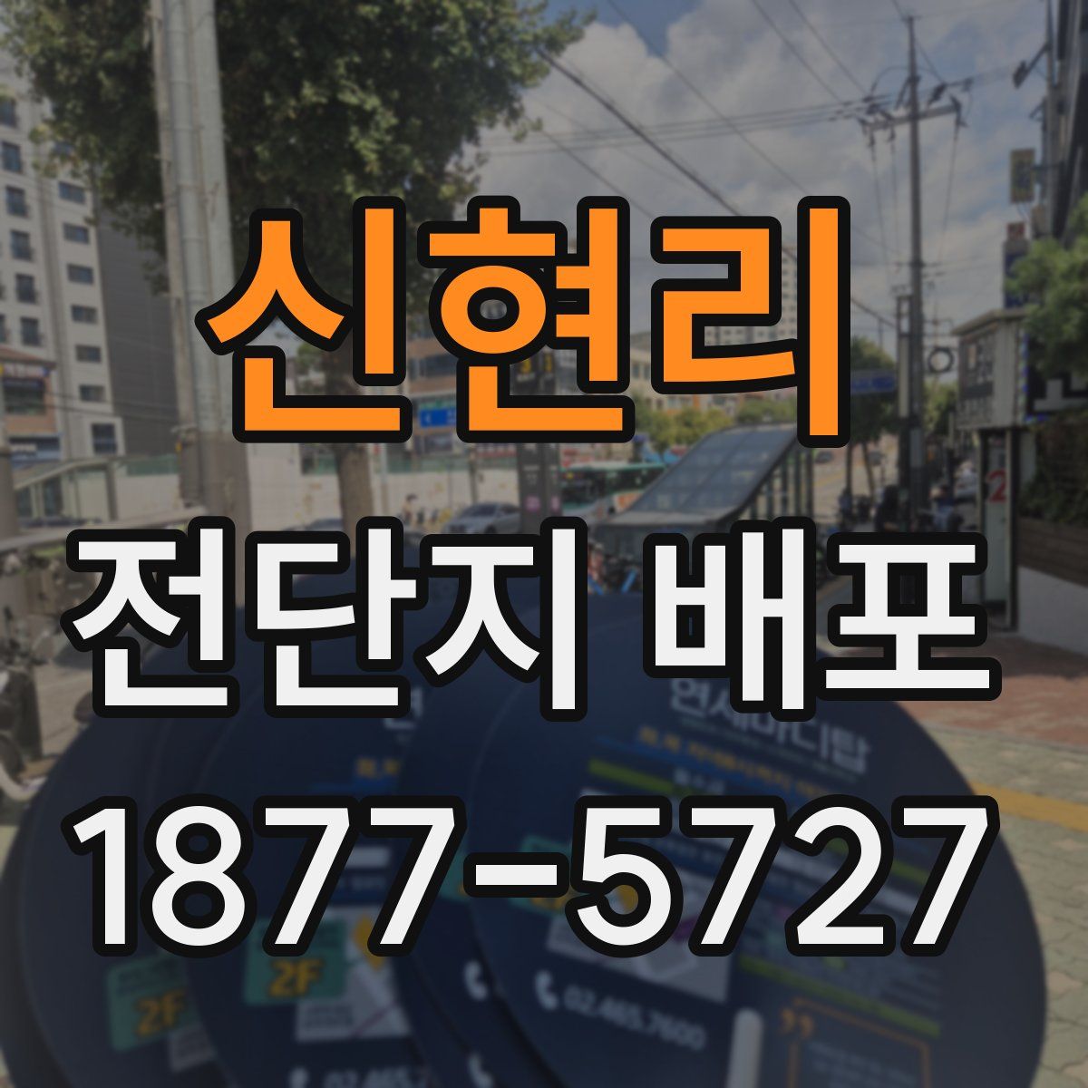 신현리 전단지 배포