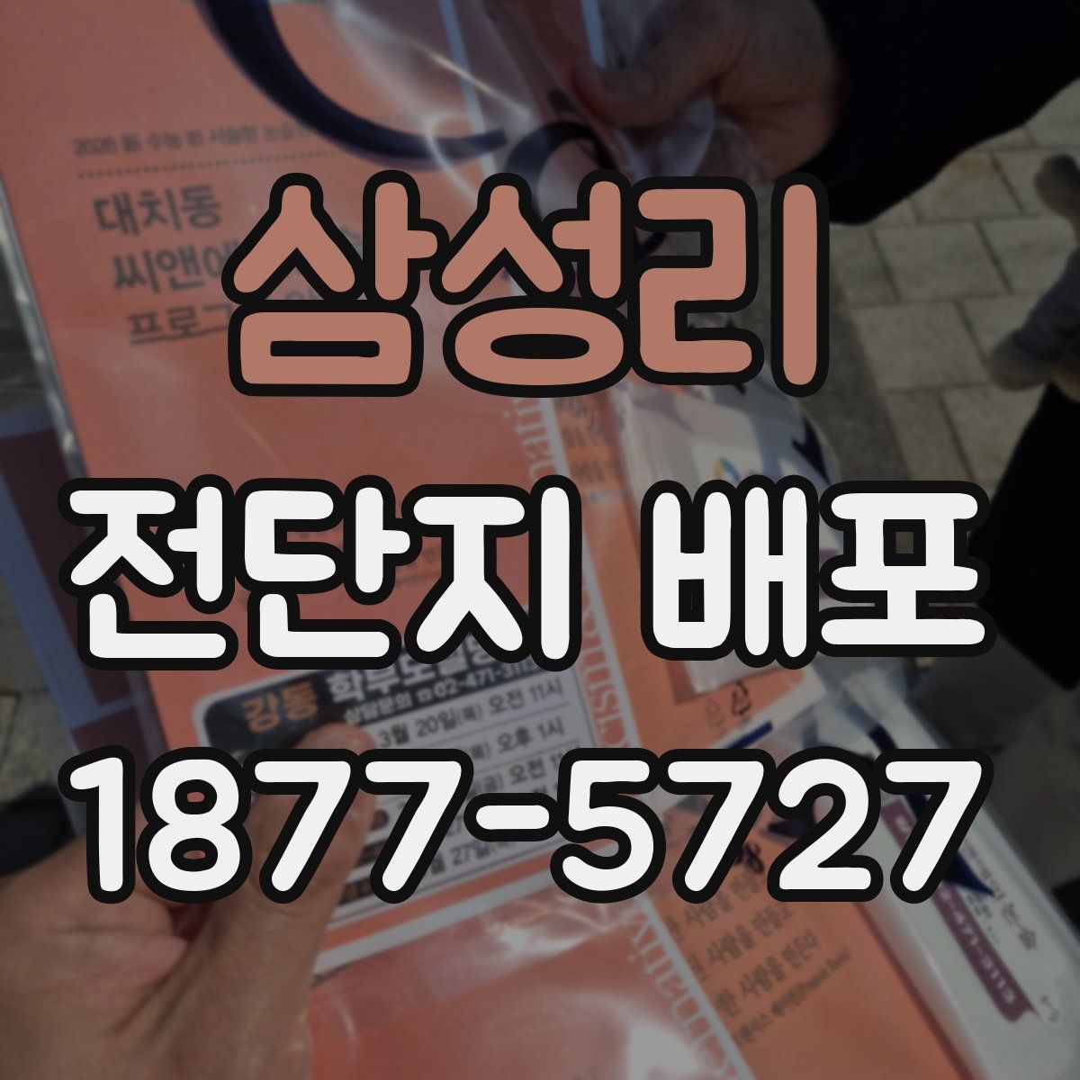 삼성리 전단지 배포