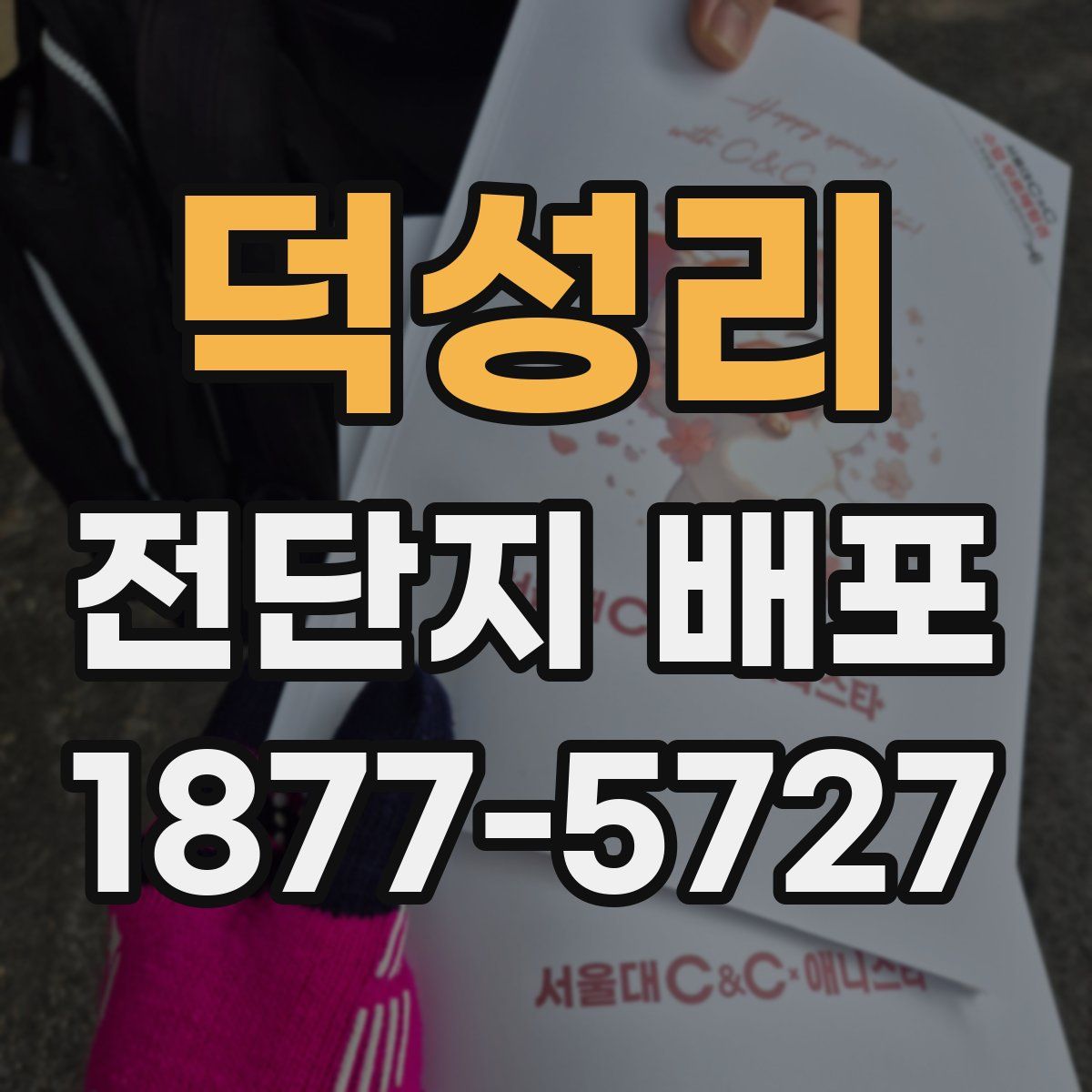덕성리 전단지 배포